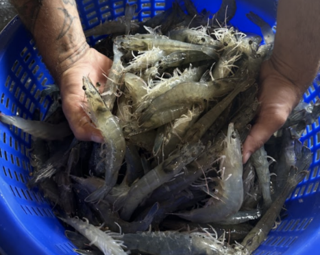 WHY PARTNER WITH CP FLORIDA 2