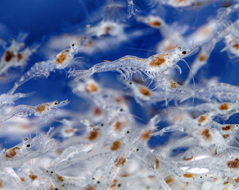 WHY PARTNER WITH CP FLORIDA 3