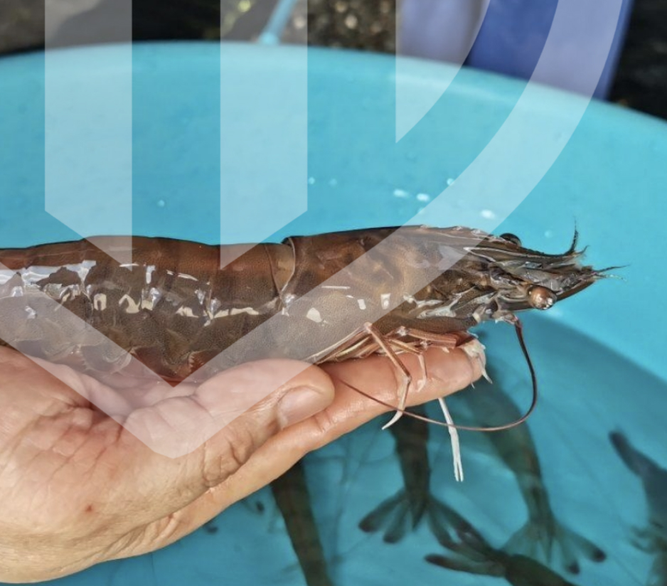 Worldwide Achivement Part 1