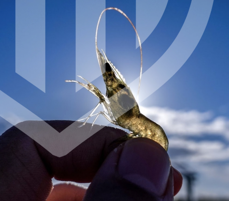 Worldwide Achivement Part 2