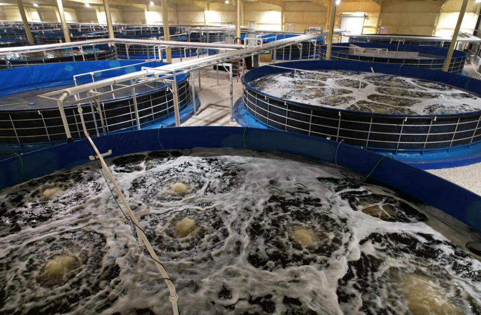 Product Line Solution