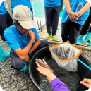 Product Line Solution 1