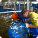 Product Line Solution 2