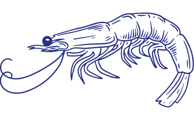 Shrimp Product Line